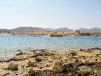 ����� ���� ����� � Beach Albatros Sharm