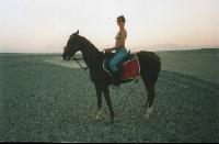 ������ �� �������