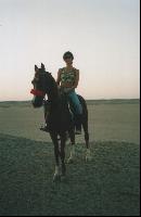 � �������� ������� �������� ������. �������. �������.