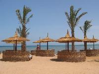 ���� ����� Albatros Resort