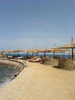 ���� ����� Beach Albatros