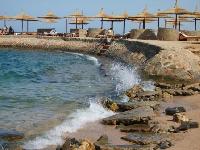 ���� Beach Albatros