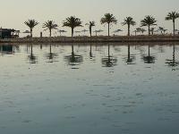 ����������������� ������� ��� 2007