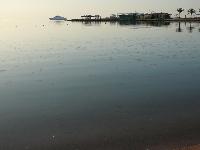 ����� ����������������� �������