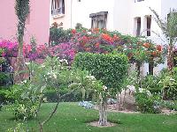 ���������� �����