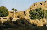 ���������� ���� 3