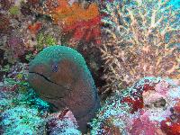 ������...