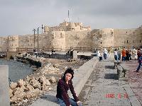 ���� �����