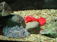 ��������� ������