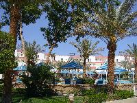 ������� � ������� ������  Beach Albatros Sharm