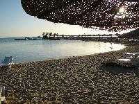 ���� - �����!