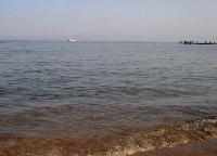 ��� ���������