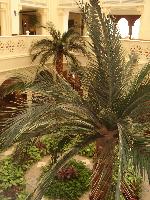 ������ �� �������