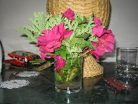 ������� �� ���������