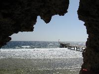 ��� �� �����