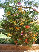 ������ � ������������� �������