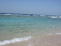 ������������ ����