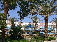 ��� �� ������� � ������� ������ Beach Albatros Sharm