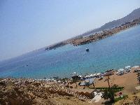 �������� �� ���� Beach Albatros Sharm � �����