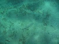 ���� � ��� ������