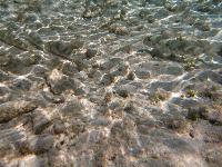 �������� � ���