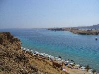 ���� Beach Albatros Sharm � ��� �� �����