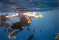 ���������� ����������