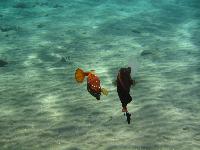 ��������� ��� ��� ������