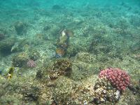 ��������� ��� ��� ������