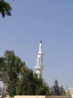 ������ ����� � Beach Albatros Sharm