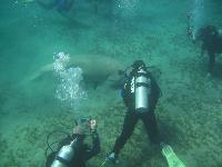 ��������� ����� �� ������