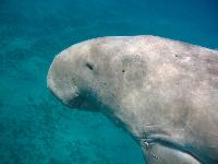 �������� ������