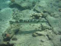 ��������� � ��� ������