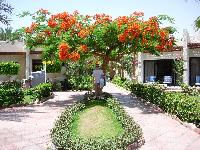 ������ ����������