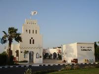 ������ �����