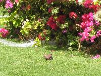 ������ ����...