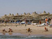 ������ ��� ������