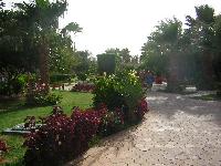 ������� ��� ������