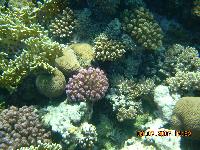 �������� �������