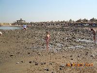 ����� �� �����