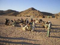 ������� ��������