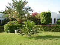 �������������� �� ���������� �����