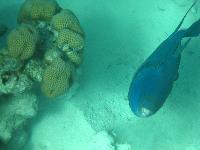 ���������  ����