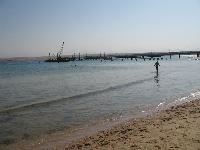 ������������� ������� ����� �������� ���� �����