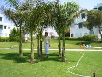 ���������� �����