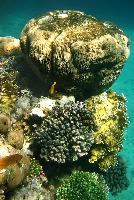 ����� ����. ����-���-����