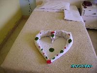 ���� ���� ����