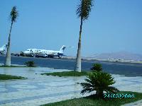 ���� ���� ����