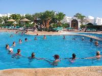 ������� ������� Domina