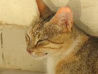 ���������� �����